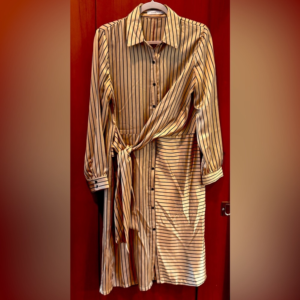 Lush Gold and Black Satin Dress